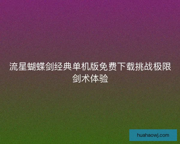 流星蝴蝶剑经典单机版免费下载挑战极限剑术体验